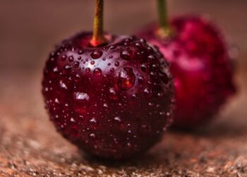 Neuquén: En 2020, la producción de  cerezas creció un 18%