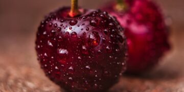 Neuquén: En 2020, la producción de  cerezas creció un 18%