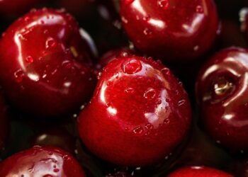 Crecen las exportaciones de cerezas a China