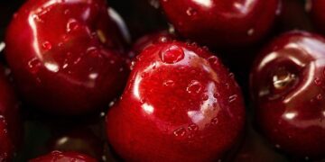 Crecen las exportaciones de cerezas a China