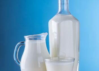 La Provincia de Santa Fe es la primera exportadora de lácteos del país