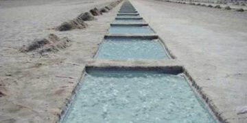 Jujuy apuesta al litio para su desarrollo económico