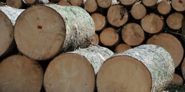 La reducción de aranceles en China estimula la producción forestal en Argentina