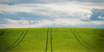 Récord de exportaciones de cebada a China en 2021