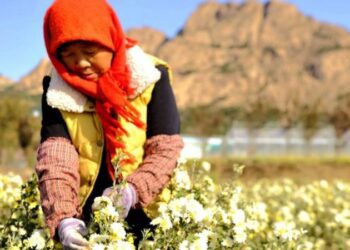 Un documental explica cómo se erradicó la pobreza extrema en China