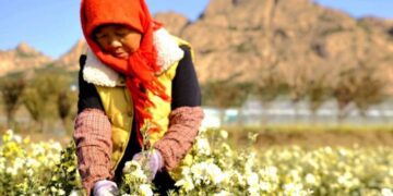 Un documental explica cómo se erradicó la pobreza extrema en China