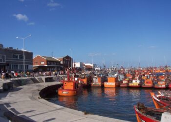 Una sociedad chino-argentina realizará el dragado del  Puerto de Mar del Plata
