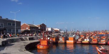 Una sociedad chino-argentina realizará el dragado del  Puerto de Mar del Plata