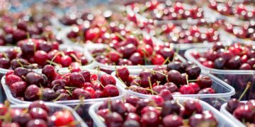 Mendoza triplicó las exportaciones de cerezas a China