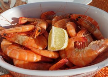 Pescados y langostinos de Argentina al mundo