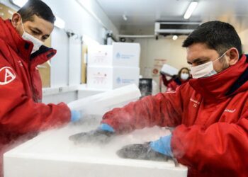 Llegaron al país un millón de vacunas Sinopharm provenientes de China