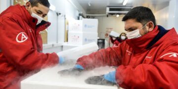 Llegaron al país un millón de vacunas Sinopharm provenientes de China