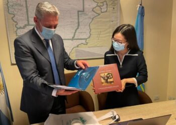 Chubut: una empresa china podría construir un parque eólico de última generación