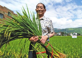 Falleció el científico chino que libró del hambre a millones de personas
