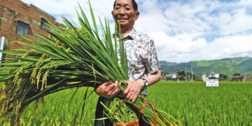 Falleció el científico chino que libró del hambre a millones de personas