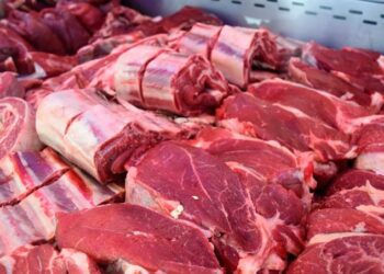 El gobierno argentino anunciará la reapertura de las exportaciones de carnes