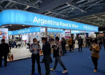 Argentina y China ratificaron la agenda de cooperación bilateral