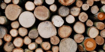 Entre Ríos exporta troncos de pino a China