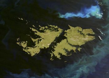 Destacan una intervención de China en la ONU por Malvinas