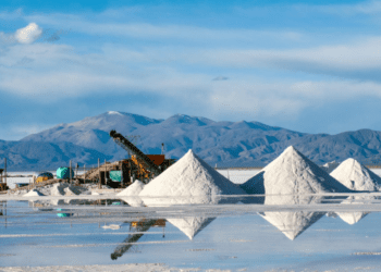 Capitales chinos realizarán una inversión millonaria en Salta