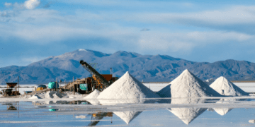 Capitales chinos realizarán una inversión millonaria en Salta