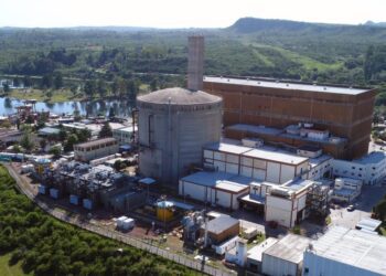 Nucleoeléctrica analiza expandir la provisión de servicios en el exterior