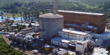 Nucleoeléctrica analiza expandir la provisión de servicios en el exterior