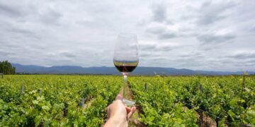 ProMendoza cumple 25 años