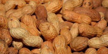 Se viene el World Peanut Meeting 2021