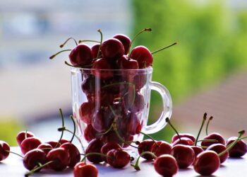 Mendoza creó un fondo para fortalecer la producción de Cereza