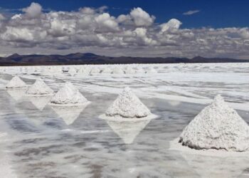 Avanza un proyecto de litio en Salta