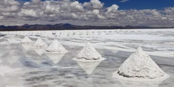 Avanza un proyecto de litio en Salta