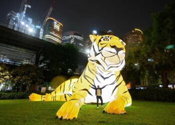 Argentina celebra el año nuevo chino 2022