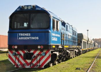 Avanza la reactivación de los trenes de carga