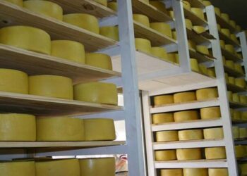 Un establecimiento lácteo santafesino podrá exportar a China