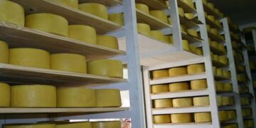 Un establecimiento lácteo santafesino podrá exportar a China