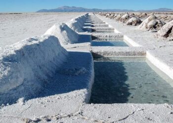 Alianza sino-australiana para extracción de litio en Salta