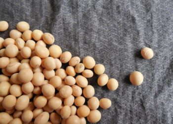 Por demanda china la soja no tiene techo