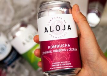 Kombucha: una bebida china ancestral que se producirá en Argentina