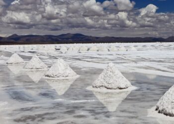 Ganfeng Lithium planea expandirse en la Argentina