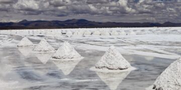 Ganfeng Lithium planea expandirse en la Argentina