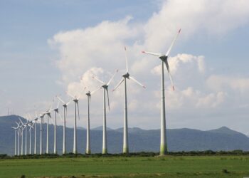 China apoyará la industria eólica argentina