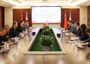 Una empresa china anunció inversiones millonarias en Argentina