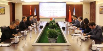 Una empresa china anunció inversiones millonarias en Argentina