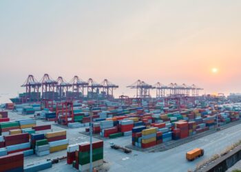 Pymes patagónicas buscan acceder al mercado chino