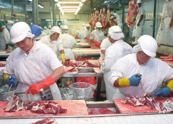 Crecen las exportaciones de huesos bovinos a China