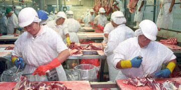 Crecen las exportaciones de huesos bovinos a China