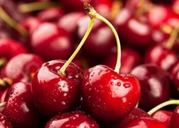 Misión a china para promocionar las cerezas argentinas