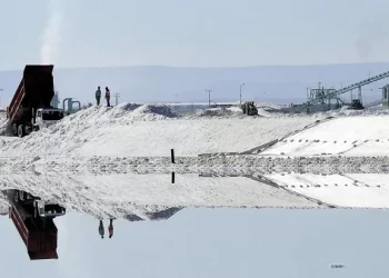 Empresa china fabricará insumos para el litio en Jujuy