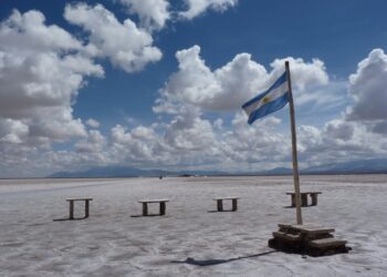 Una firma china construiría una planta de litio en Catamarca